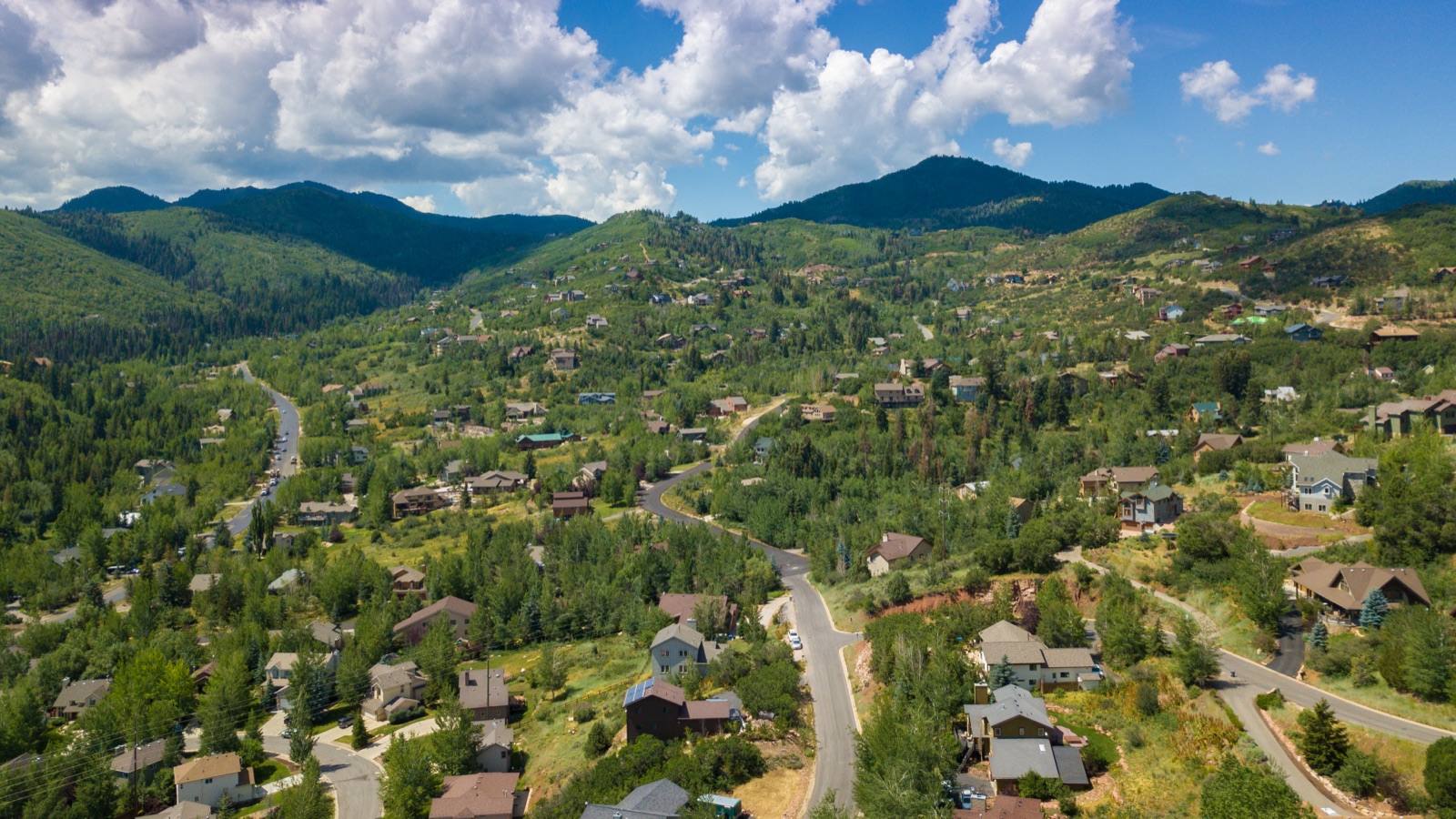 Pinebrook — wooded hillside living