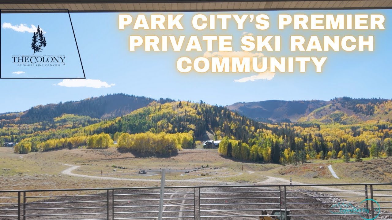 The Colony — ski-in estates through the trees